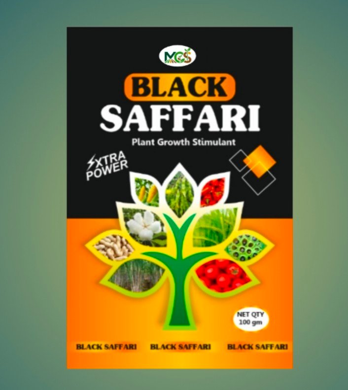 Black Safari