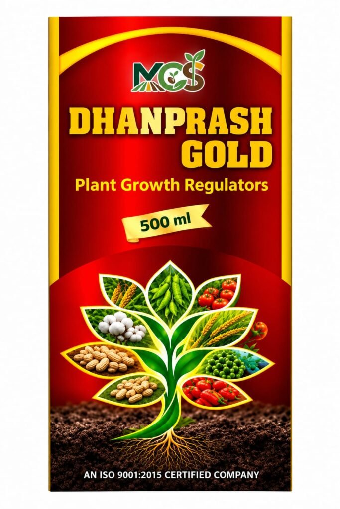 Dhanprash Gold
